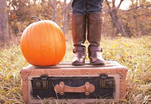Understanding Punkin Center Weather Patterns Throughout the Year