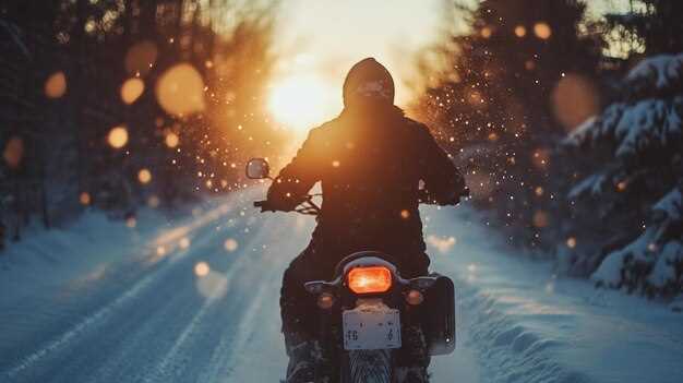 Essential Maintenance Tasks Before Hibernation