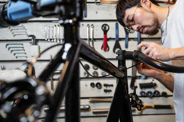 Enhancing Style and Personalization with Custom Aesthetics