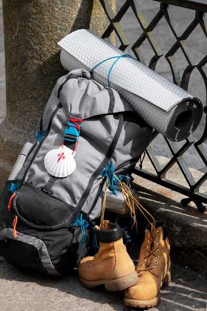 Top Saddlebags and Storage Options for Road Trips