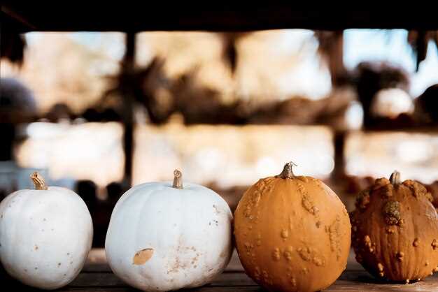 Why Punkin Center is a Hidden Gem for Riders